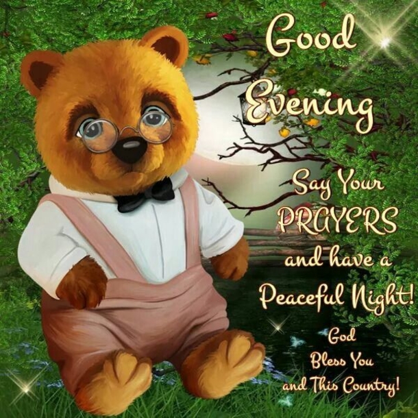 10+ Blissful And Blessed Good Evening Quotes - picture 9