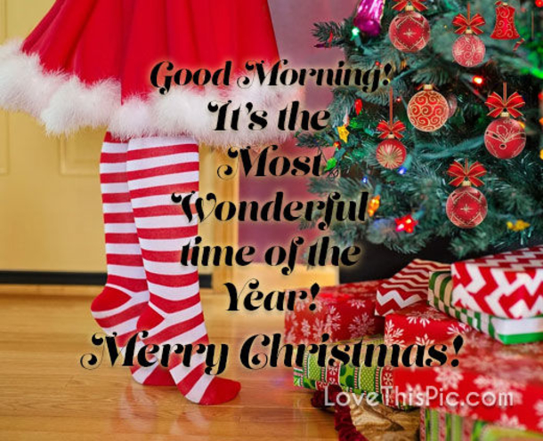 10 Blissful Good Morning Merry Christmas Quotes For 2022 - picture 4