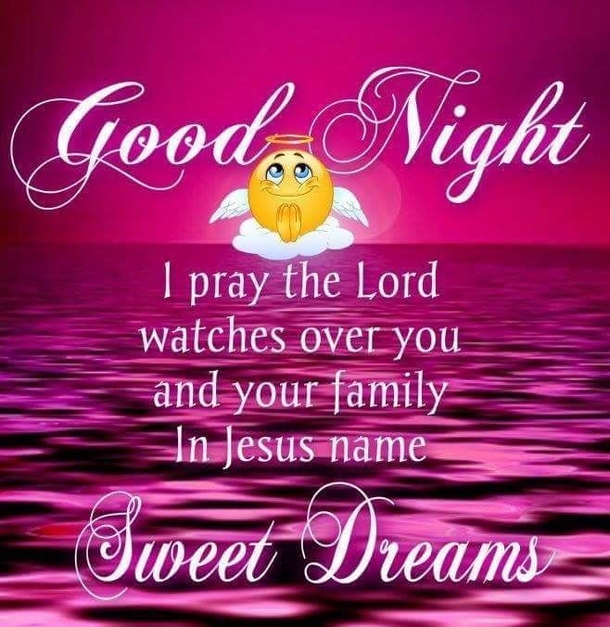 10 Blissful Good Night Quotes & Sayings - picture 10