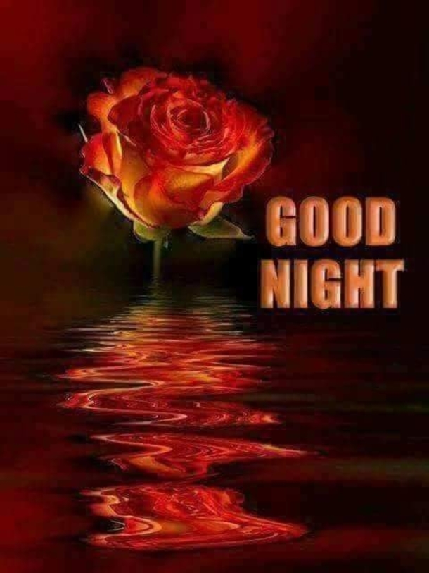 10 Blissful Good Night Quotes & Sayings - picture 3