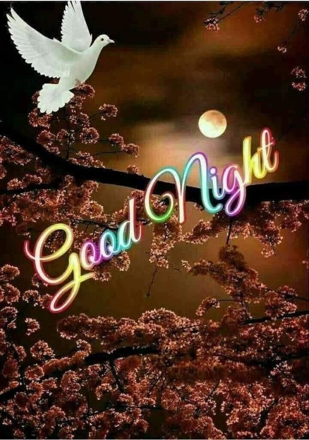 10 Blissful Good Night Quotes & Sayings - picture 4