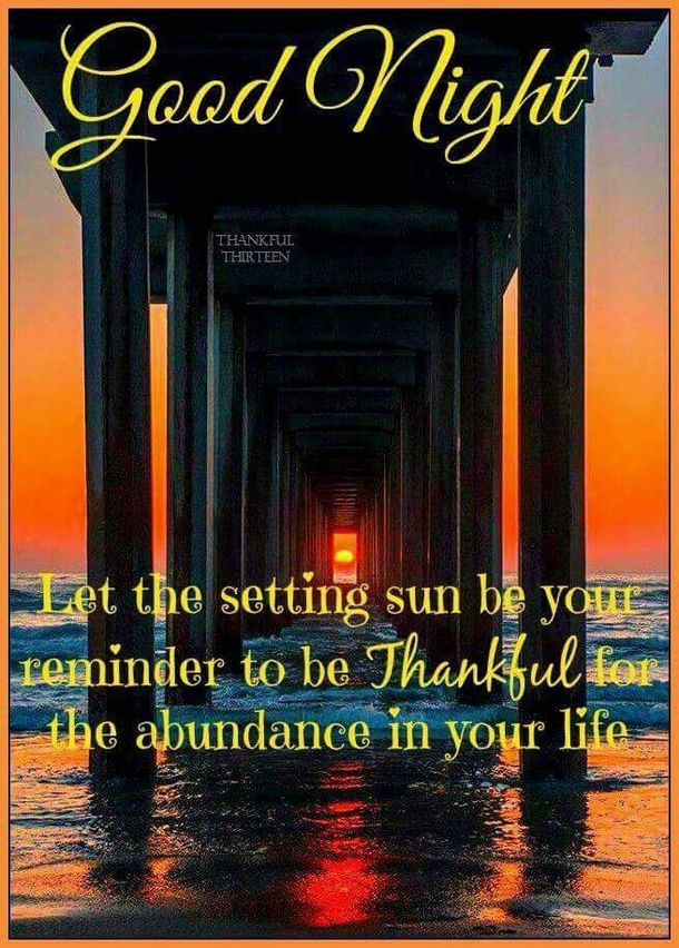 10 Blissful Good Night Quotes & Sayings - picture 5