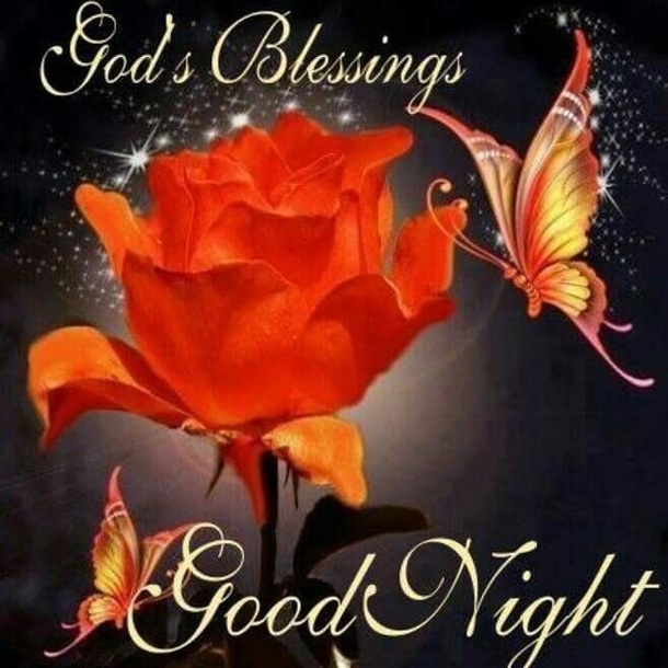 10 Blissful Good Night Quotes & Sayings - picture 6