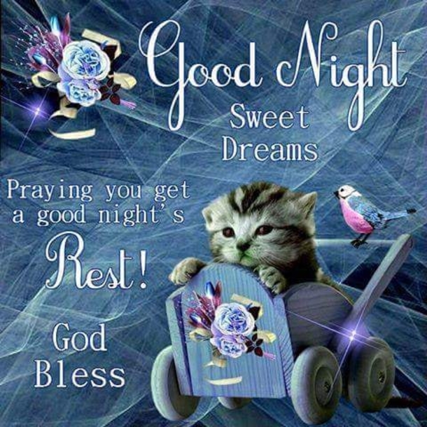 10 Blissful Good Night Quotes & Sayings - picture 9