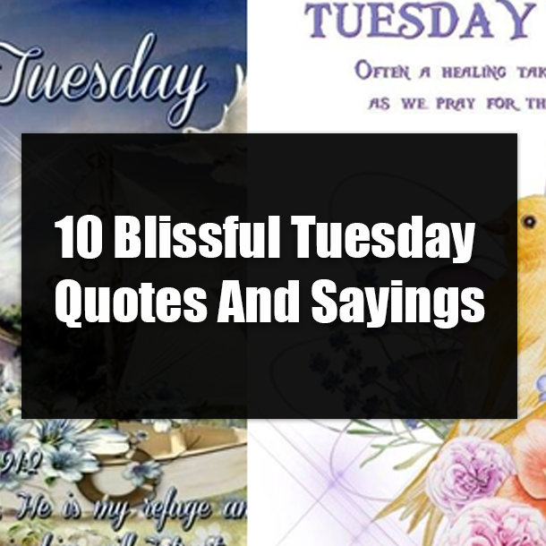 10 Blissful Tuesday Quotes And Sayings