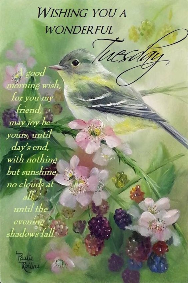 10 Blissful Tuesday Quotes And Sayings - picture 3