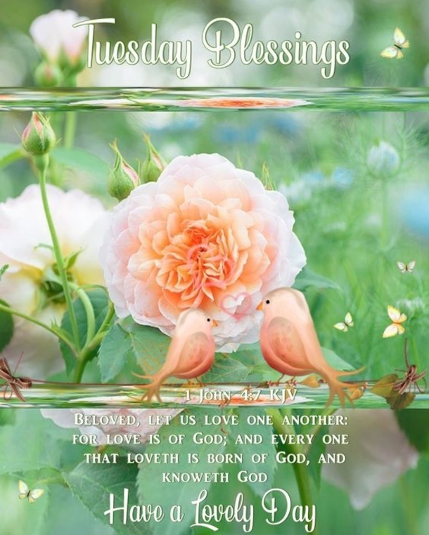 10 Blissful Tuesday Quotes And Sayings - picture 7
