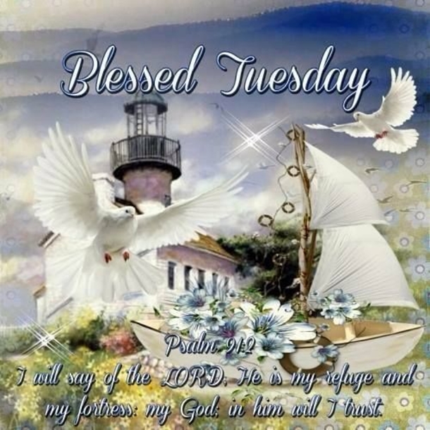 10 Blissful Tuesday Quotes And Sayings - picture 9