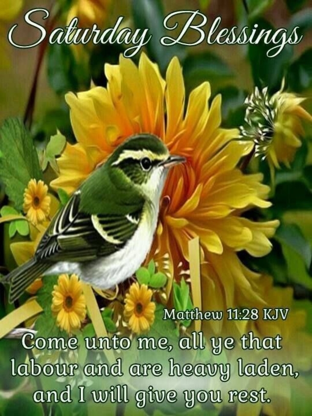 10 Brand New Saturday Blessings And Images - picture 10