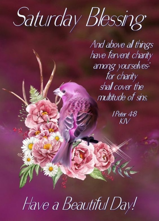 10 Brand New Saturday Blessings And Images - picture 11