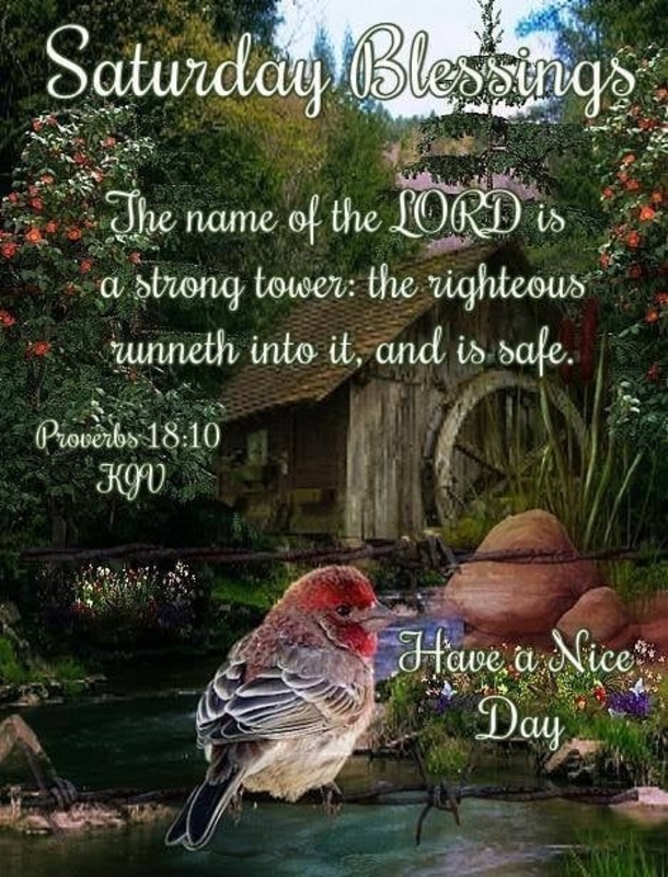 10 Brand New Saturday Blessings And Images - picture 3
