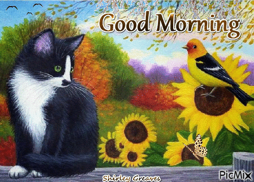 10 Bright Good Morning Gifs And Quotes - picture 3