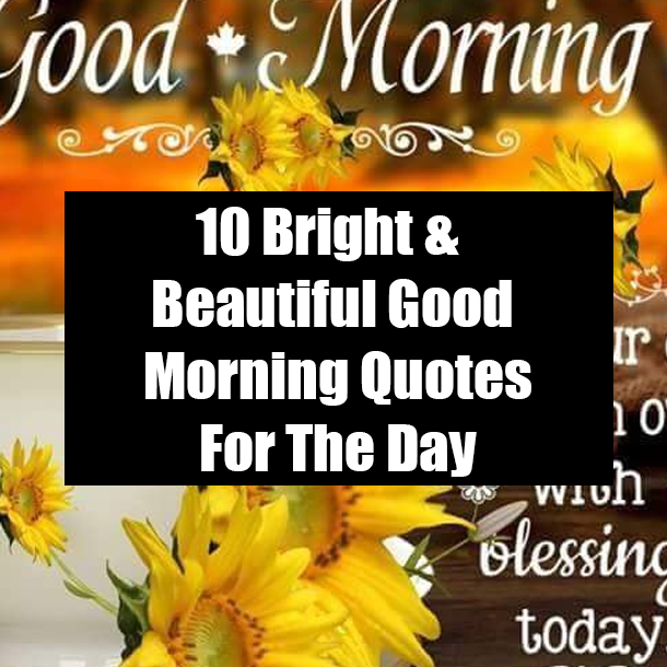 10 Bright & Beautiful Good Morning Quotes For The Day
