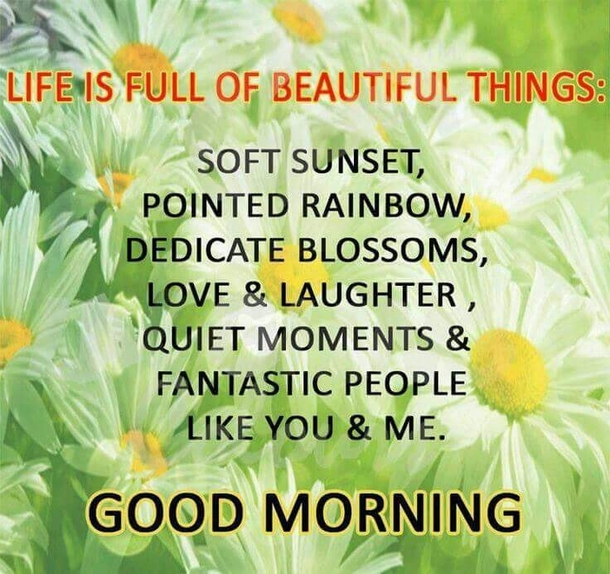 10 Bright & Beautiful Good Morning Quotes For The Day - picture 4
