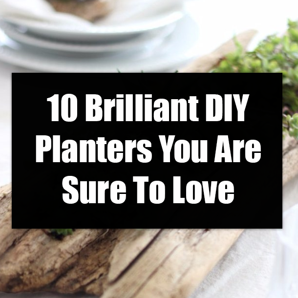 10 Brilliant DIY Planters You Are Sure To Love