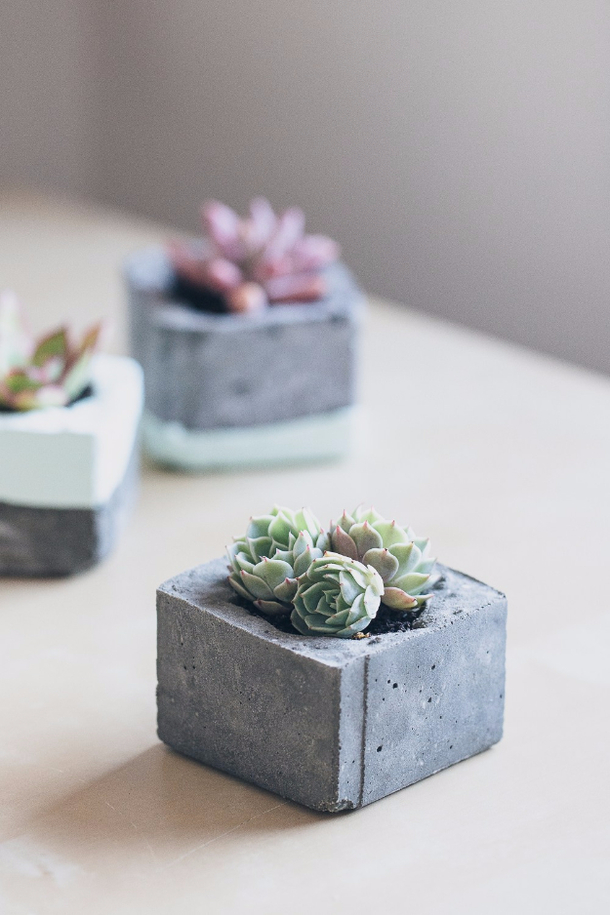 10 Brilliant DIY Planters You Are Sure To Love - picture 10