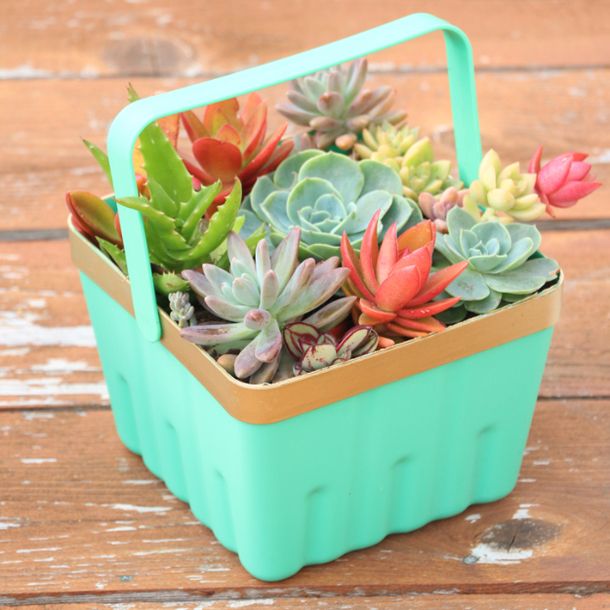 10 Brilliant DIY Planters You Are Sure To Love - picture 3