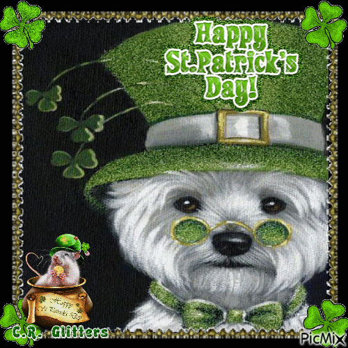 10 Cheerful And Cute Happy St. Patrick's Day Gifs With Quotes - picture 7