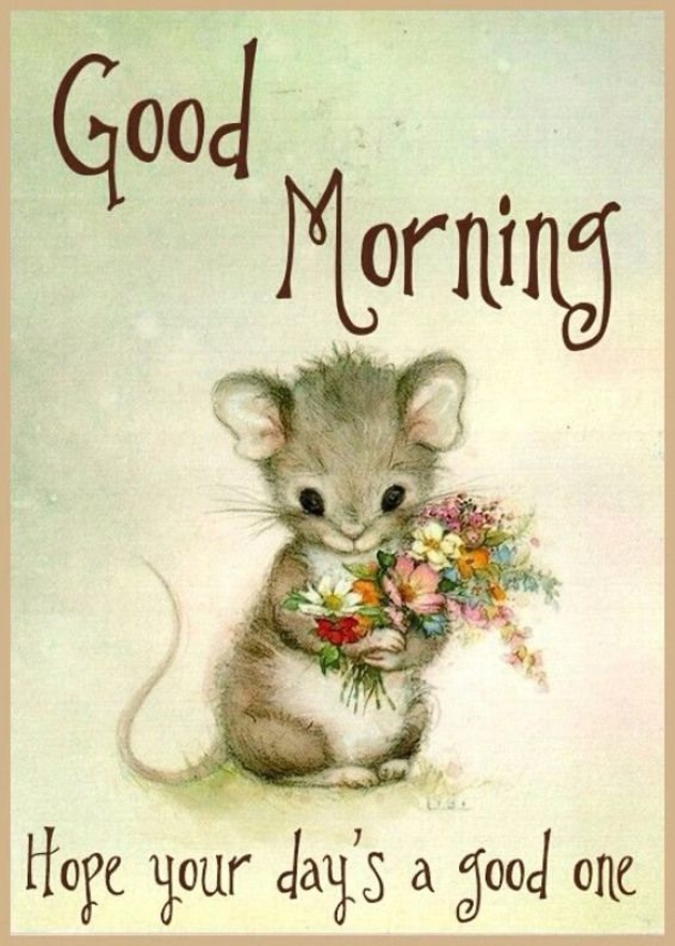 10 Cheerful Good Morning Quotes To Brighten Your Day - picture 2