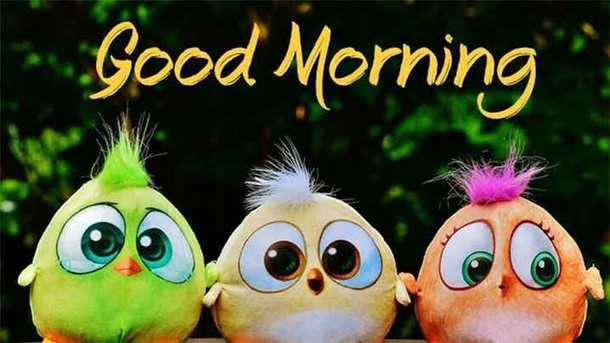 10 Cheerful Good Morning Quotes To Brighten Your Day - picture 9