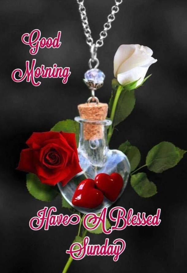 10+ Cheerful Good Morning Sunday Quotes - picture 10