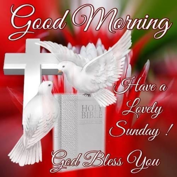 10+ Cheerful Good Morning Sunday Quotes - picture 11
