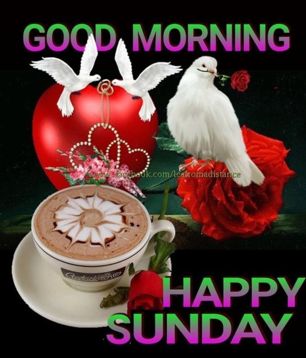 10+ Cheerful Good Morning Sunday Quotes - picture 13
