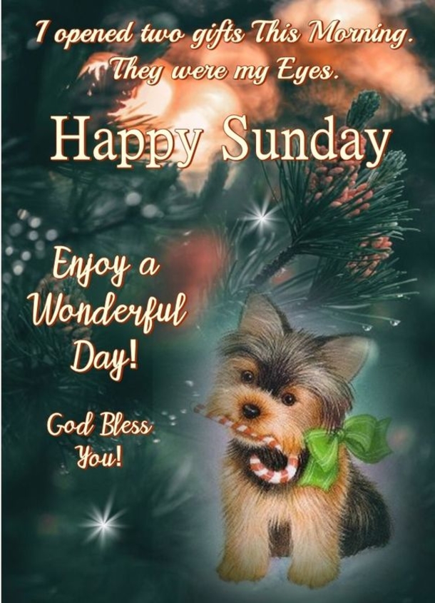 10+ Cheerful Good Morning Sunday Quotes - picture 5