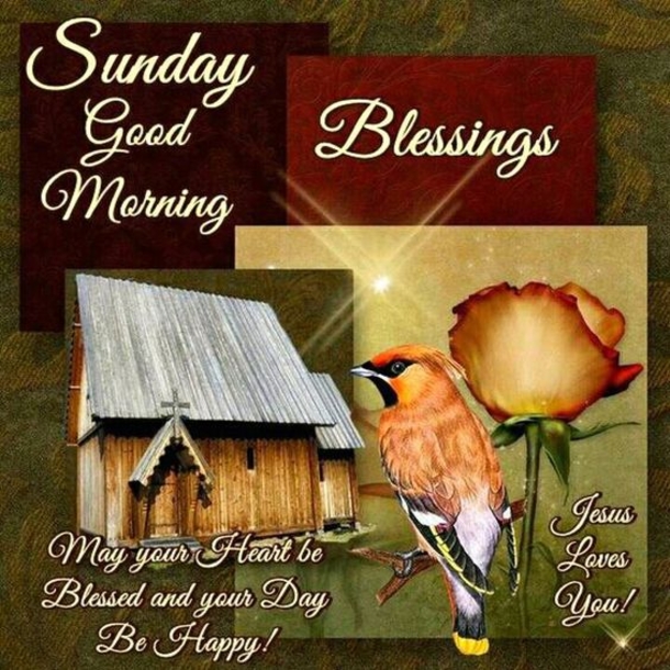 10+ Cheerful Good Morning Sunday Quotes - picture 6