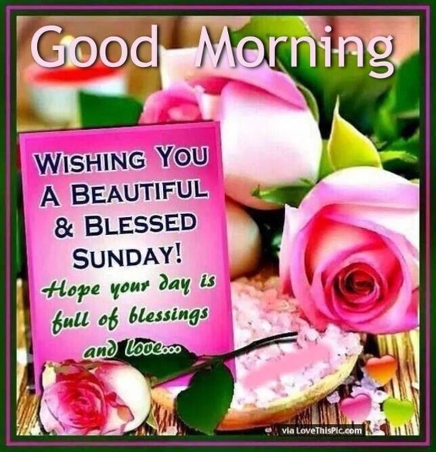 10+ Cheerful Good Morning Sunday Quotes - picture 7