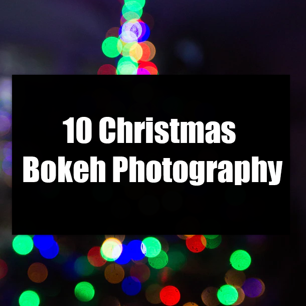 10 Christmas Bokeh Photography