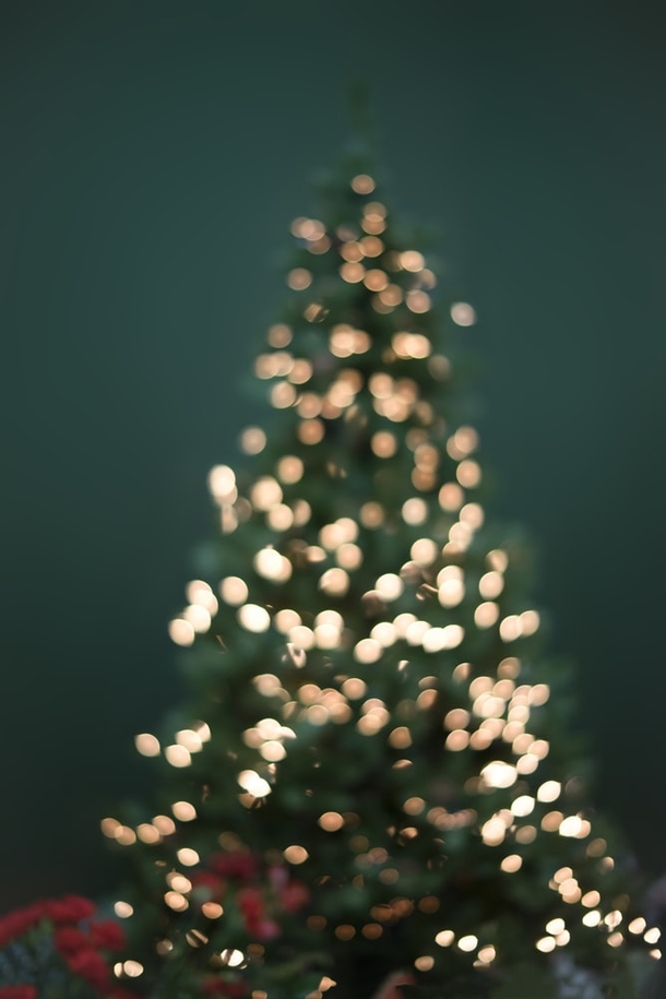 10 Christmas Bokeh Photography - picture 4