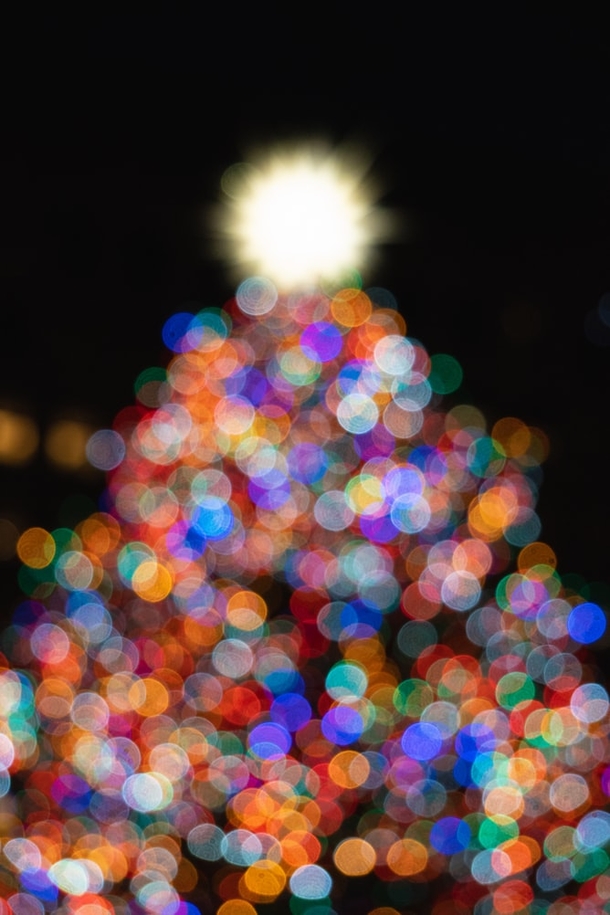 10 Christmas Bokeh Photography - picture 5