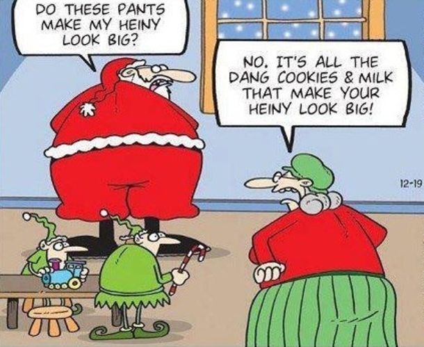 10 Christmas Humor Jokes - picture 11
