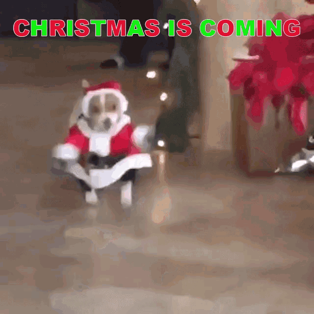 10 Christmas Is Coming Soon Quotes - picture 2