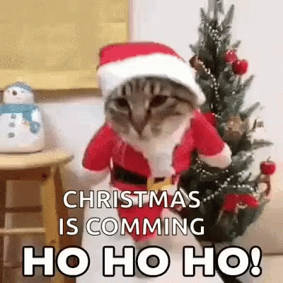 10 Christmas Is Coming Soon Quotes - picture 4