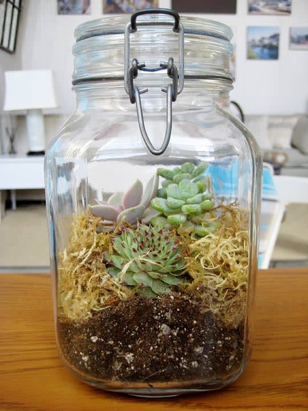 10 Christmas Mason Jar Gift Ideas For Family & Friends - picture 10