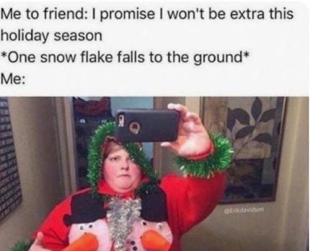 10+ Christmas Memes That Will Get You Ready For The Holiday Early - picture 6