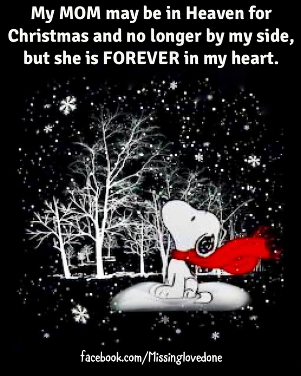 10 Christmas Quotes About Missing Loved Ones Who Are In Heaven - picture 8