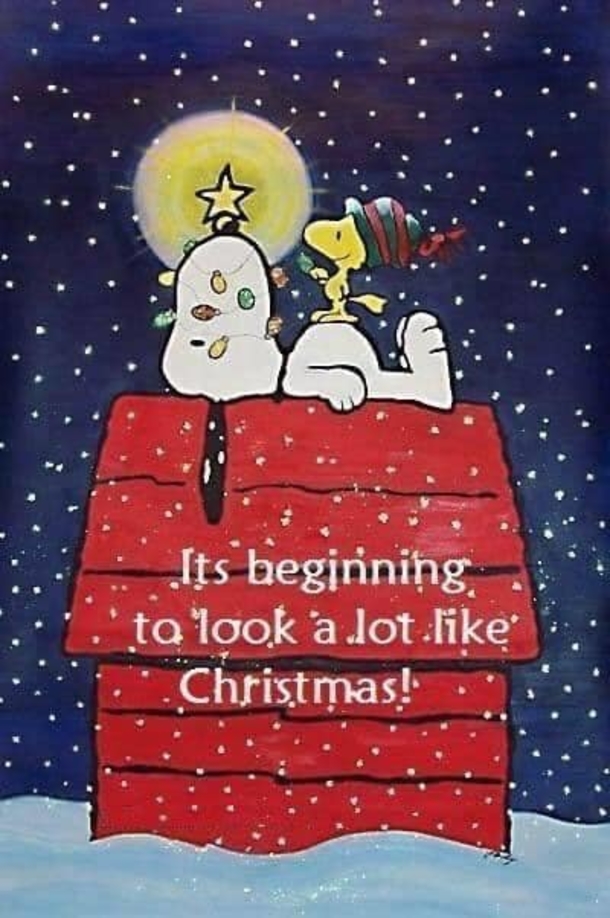 10 Christmas Quotes, Pictures And Images To Share During This Beautiful Holiday Season - picture 8
