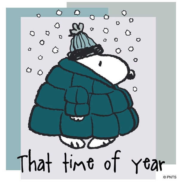 10 Christmas Quotes With Snoopy & Peanuts Gang - picture 7