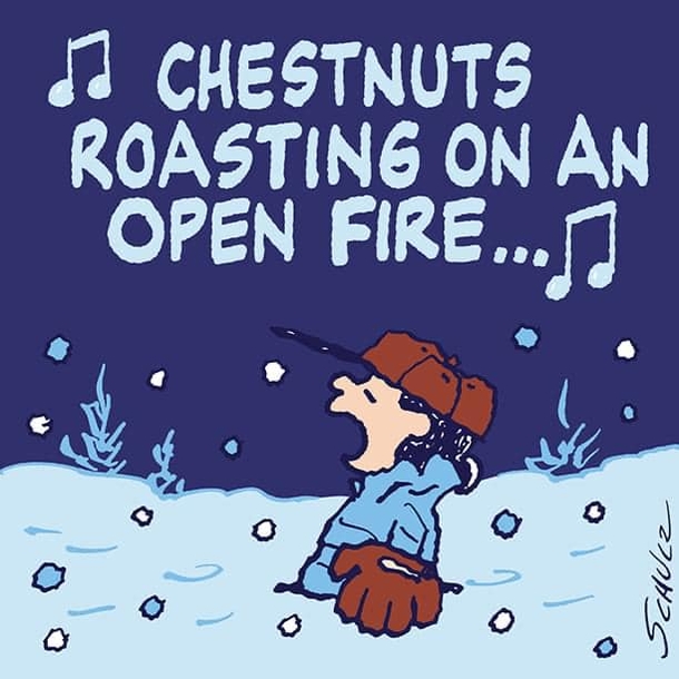 10 Christmas Quotes With Snoopy & Peanuts Gang - picture 8