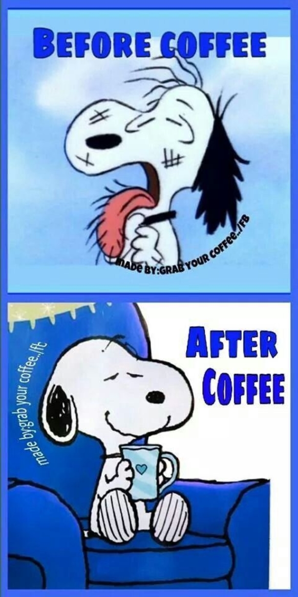 10 Coffee Quotes Featuring Snoopy To Start Your Morning - picture 10