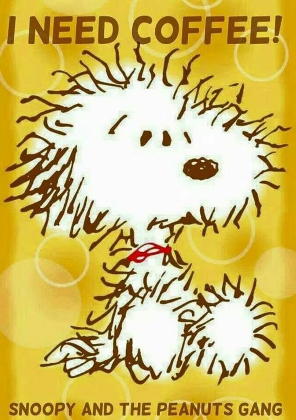 10 Coffee Quotes Featuring Snoopy To Start Your Morning - picture 4