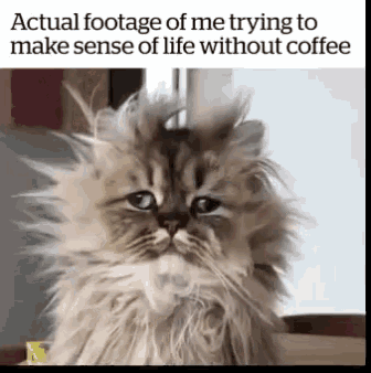 10 Coffee Quotes For Those Who Need It In The Morning - picture 3