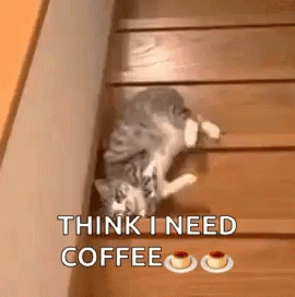 10 Coffee Quotes For Those Who Need It In The Morning - picture 5