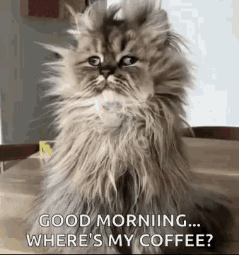 10 Coffee Quotes For Those Who Need It In The Morning - picture 6