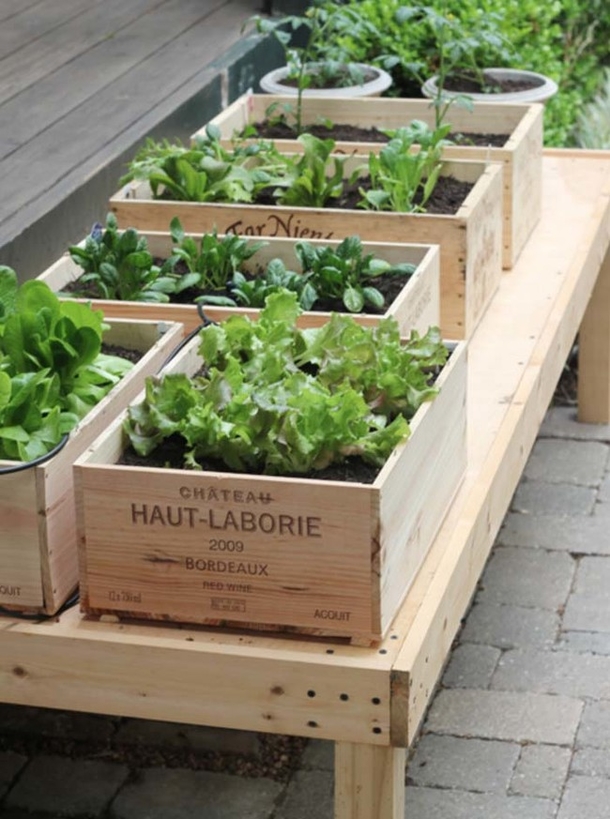 10 Cool Garden Ideas For The Summer - picture 4