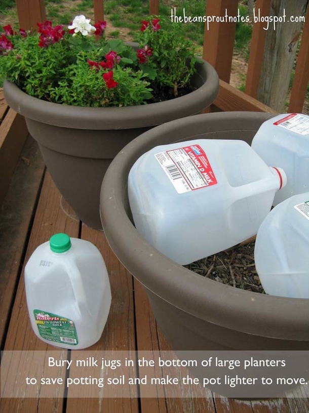 10 Cool Garden Ideas For The Summer - picture 6