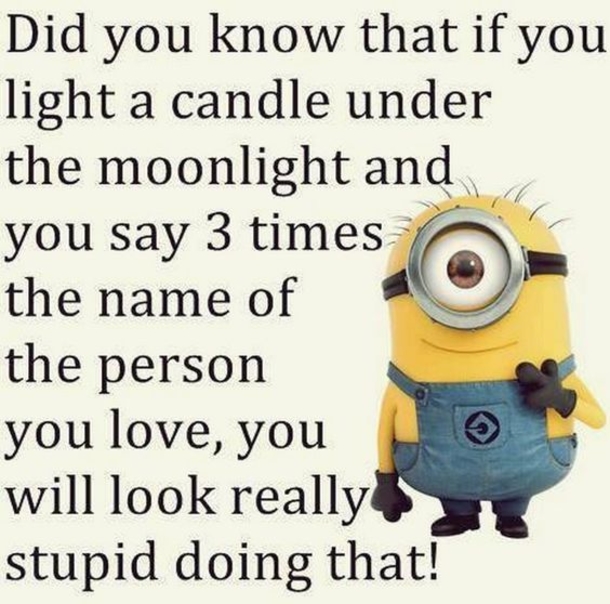 10 Cool Minion Memes For Every Minion Fan - picture 10